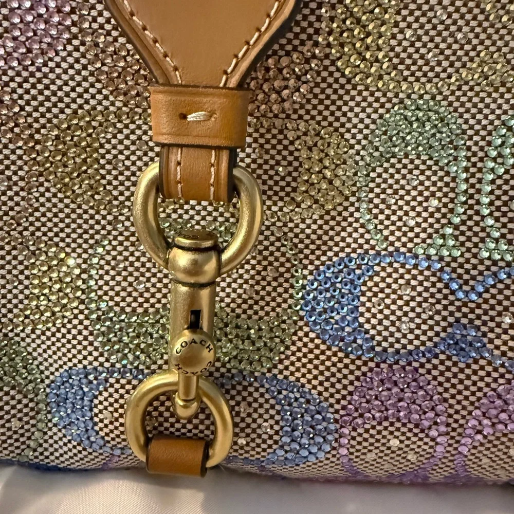 Coach Rainbow Candy Crystal Hamptons Hobo Bag - Picture 9 of 16